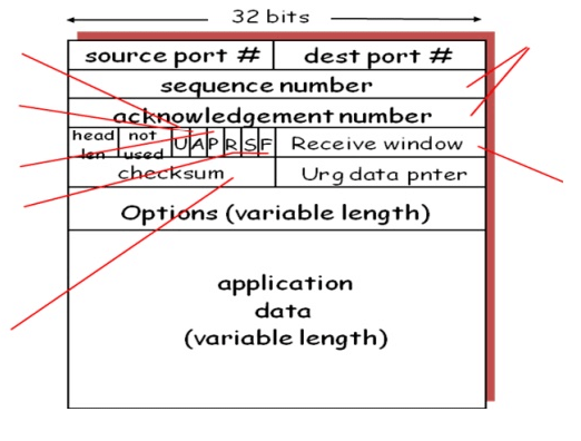 Network Layer | Computer Networks - Computer Science Engineering (CSE)
