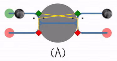 Deadlock, Starvation and Livelock | Operating System - Computer Science Engineering (CSE)