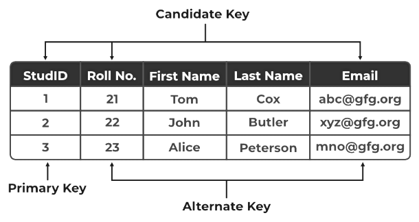 Entity, Sets & Keys | Database Management System (DBMS) - Computer Science Engineering (CSE)