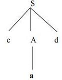 Top Down Parsing & Bottom Up Parsing | Compiler Design - Computer Science Engineering (CSE)