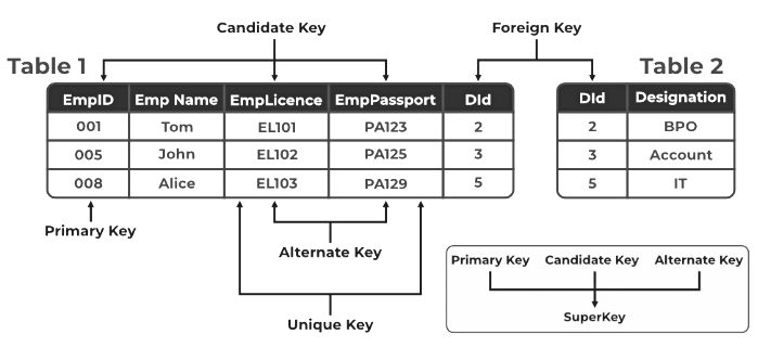 Entity, Sets & Keys | Database Management System (DBMS) - Computer Science Engineering (CSE)