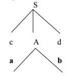 Top Down Parsing & Bottom Up Parsing | Compiler Design - Computer Science Engineering (CSE)