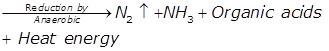 Quality of Sewage | Environmental Engineering - Civil Engineering (CE)