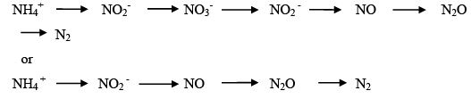 Sequential Batch Reactor | Environmental Engineering - Civil Engineering (CE)