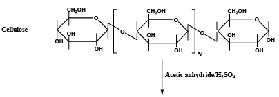 Cellulosic Fibres | Chemical Technology - Chemical Engineering