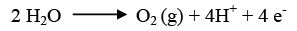 Electrochemical Treatment | Environmental Engineering - Civil Engineering (CE)