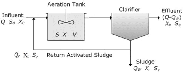 Activated Sludge & Lagoons | Environmental Engineering - Civil Engineering (CE)