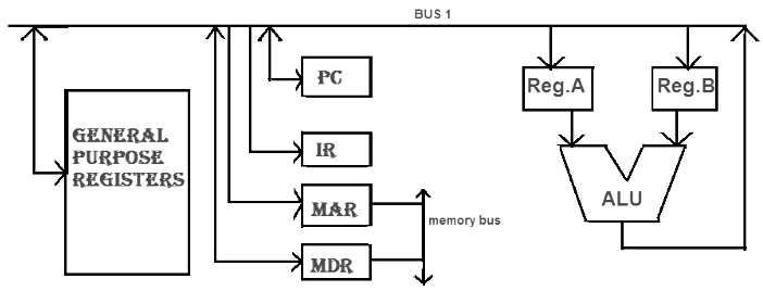One Bus Organization