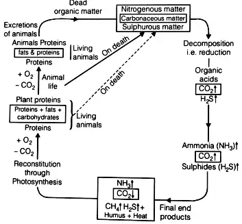 Quality of Sewage | Environmental Engineering - Civil Engineering (CE)