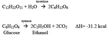 Manufacture of Ethanol from Molasses | Chemical Technology - Chemical Engineering