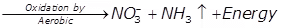 Quality of Sewage | Environmental Engineering - Civil Engineering (CE)