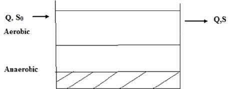 Activated Sludge & Lagoons | Environmental Engineering - Civil Engineering (CE)