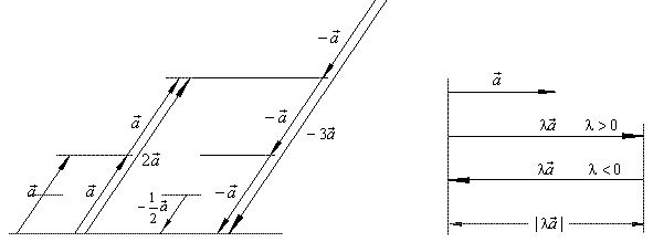 Vectors in Plane | Engineering Mathematics - Engineering Mathematics