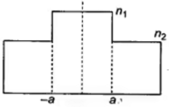 Step index fibre