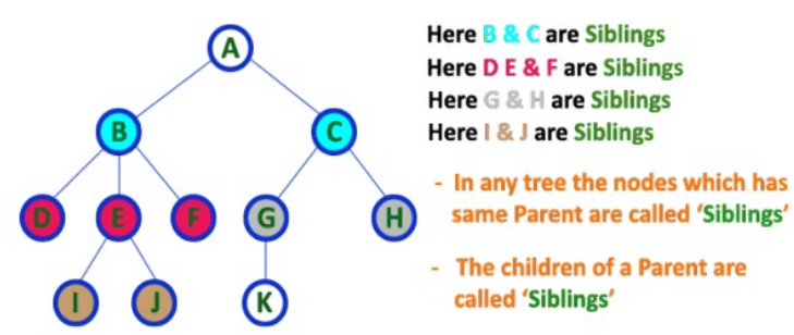 Previous Year Questions: Graph Theory | Engineering Mathematics for Computer Science Engineering - Computer Science Engineering (CSE)