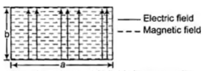 Electric and magnetic fields in rectangular waveguide