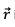 Electromagnetic Induction | Electromagnetic Fields Theory (EMFT) - Electrical Engineering (EE)