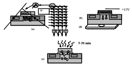 Memory - 1 | Embedded Systems (Web) - Computer Science Engineering (CSE)