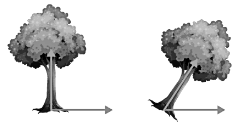 Eigen Values & Eigen Vectors | Engineering Mathematics - Engineering Mathematics 