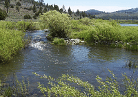 A river with a small tributary 