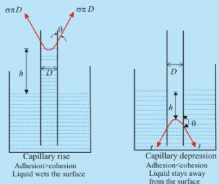 Fig 2.4: Phenomenon of Capillarity