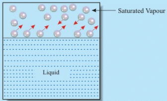 Fig 2.5: To & Fro movement of liquid molecules from an interface in a confined space as a closed surrounding