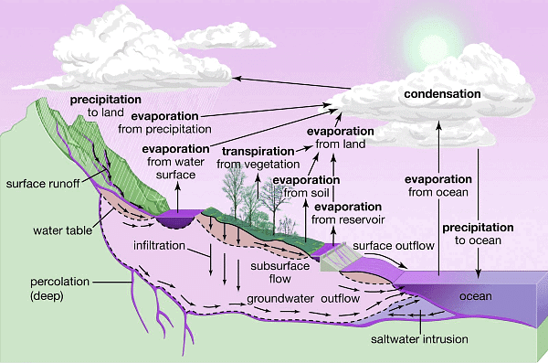 Hydrological Cycle