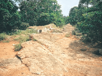 Laterite Soil