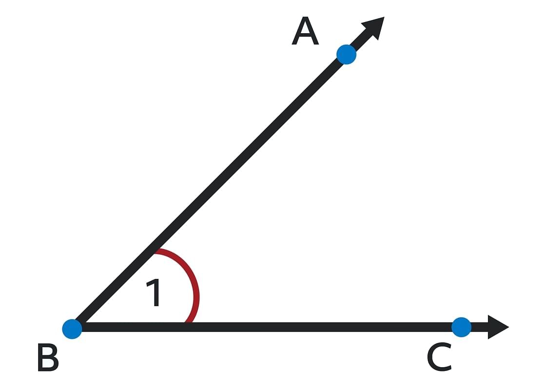 Lines and Angles Class 7 Notes Maths Chapter 6