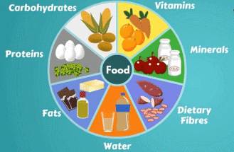 Components of food