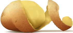 Mangoes Round the Year - 1 Class 5 Worksheet EVS Chapter 4