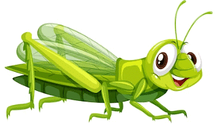 Grasshopper 