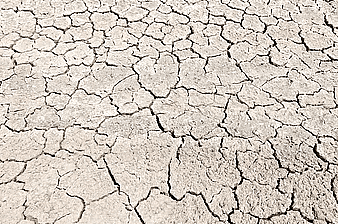 Arid Soil