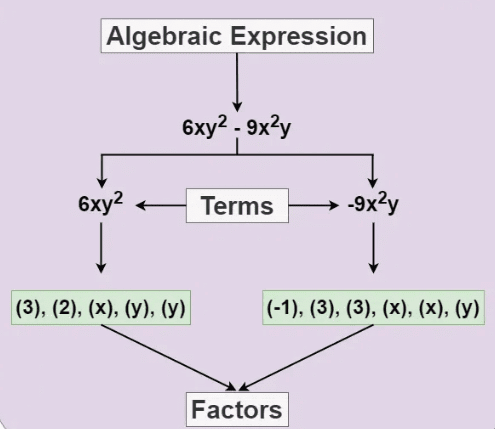 Algebraic Expressions Class 7 Notes Maths Chapter 10