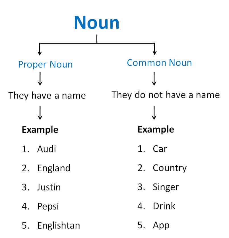 Nouns | English Grammar for Class 6
