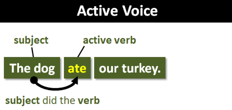 Key Notes: Voice | English Grammar Basic - Class 10