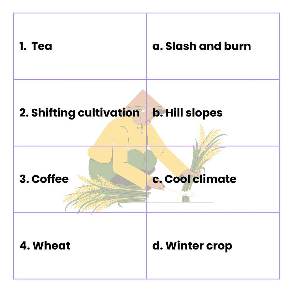 Class 8 Social Science Agriculture CBSE Worksheets Solutions