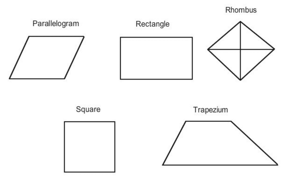 Understanding Elementary Shapes Class 6 Notes Maths Chapter 5