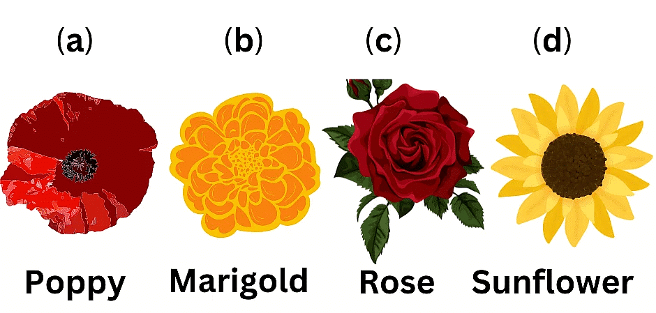 The Magic Garden - 2 Class 3 Worksheet English Unit 1