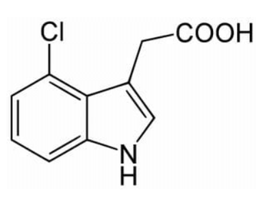 Chemical structure of Auxin