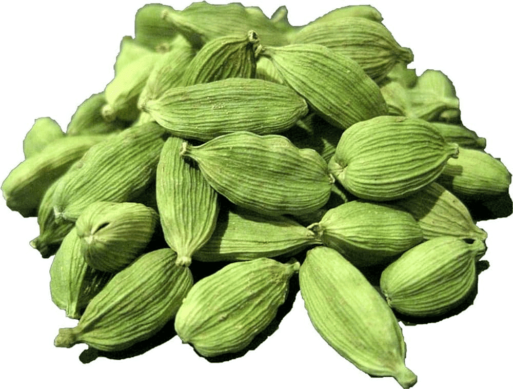 Elaichi