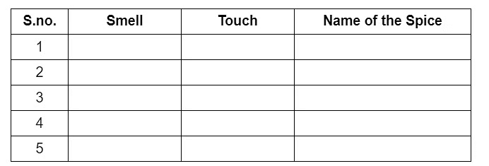 Spicy Riddles Class 4 Notes EVS Chapter 25