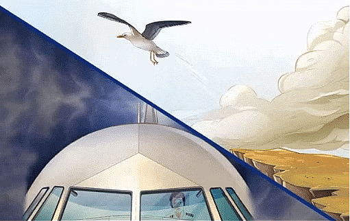 Two Stories about Flying - 2 Summary Class 10 English First Flight Chapter 3