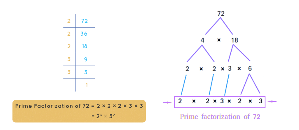 Important Formulas: Prime Time | Mathematics for Class 6