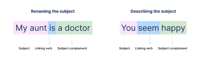 The Verb | English Grammar for Class 6