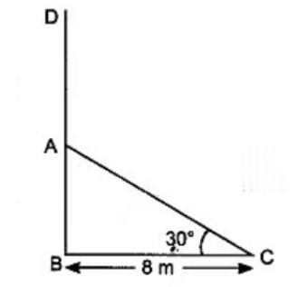 Some Applications of Trigonometry Class 10 Notes Maths Chapter 9