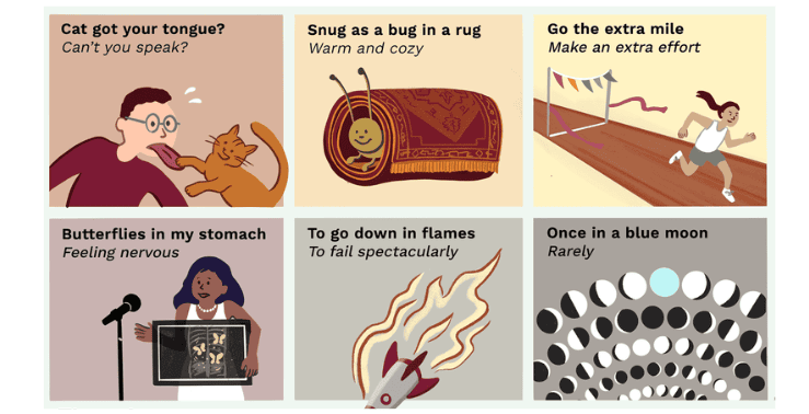 Idioms and Phrases | English Grammar for Class 6