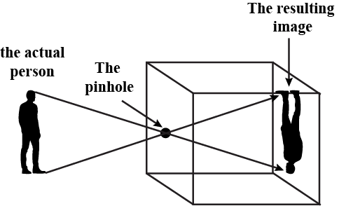 Light, Shadows and Reflections Class 6 Notes Science Chapter 8