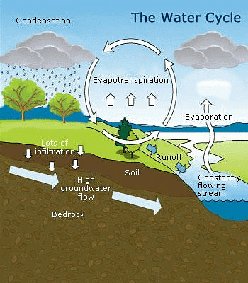 Class 10 Geography Chapter 3 Question Answers - Water Resources