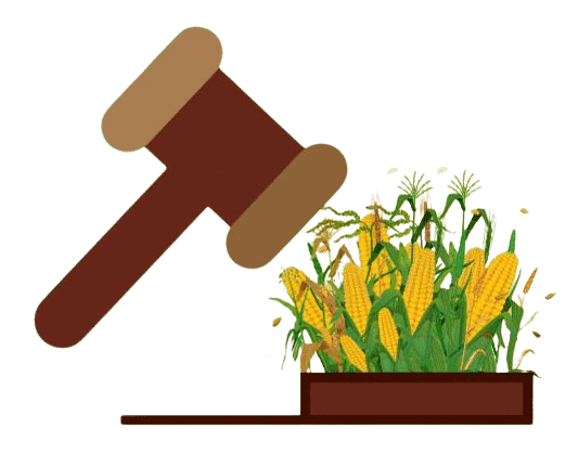 Abolition of Corn Laws 